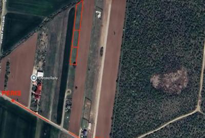 Teren de 735 mp, în Periș - 12