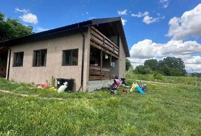 De vanzare casa cu iaz propriu, suprafata Teren 1000 mp