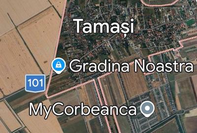 Teren Construcții intravilan de 17000 mp, în Tamași - 3