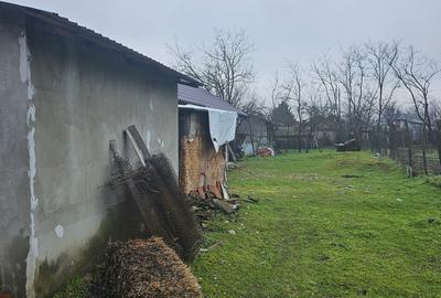 Casă individuală cu 5 camere cu Teren 1964 Mp în Vâlcelele - 3