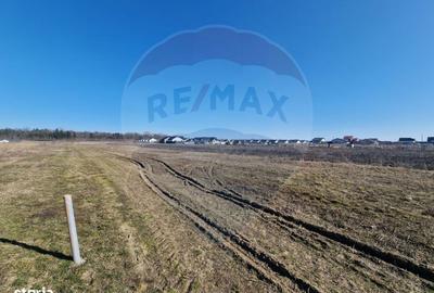 Teren de 2002 mp, în Hemeiuș - 5