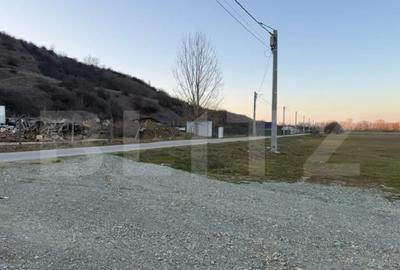 Teren de 4307 mp, în Podari - 3