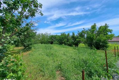 Teren de 2380 mp, în Gurbănești - 3