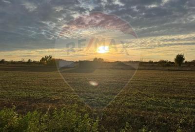 Teren 438mp in Bujac-Arad - 1