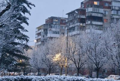 Pe cel mai frumos bulevard din oraș CORNELIU COPOSU-terasa 14 mp cu vedere Bega - 1