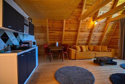 Ansamblu de 3 case, tip A frame, Moieciu de Jos, constructie 2025 - 10