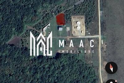 Teren Construcții intravilan de 700 mp, în Șura Mică - 2