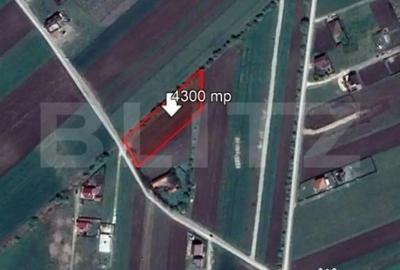 Teren de 4300 mp, în Stupini