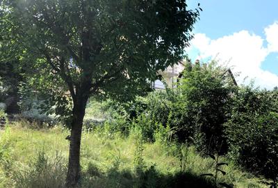 Casa individuala, Centrul Istoric - 1