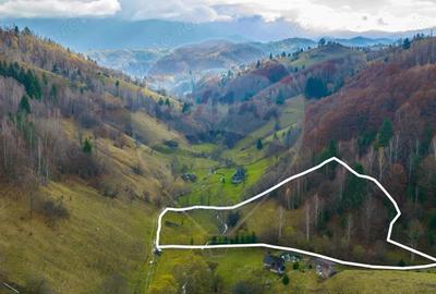 COMISION 0% Teren 8013mp Moieciu de Jos / Strada Valea cu Calea - 5