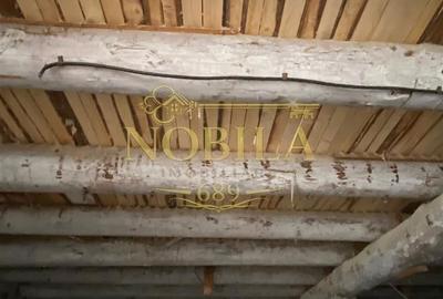 Spațiu comercial, în Agăș - 7