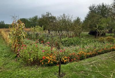 Casa de vanzare in sat Capalnas, comuna Birchis - 5