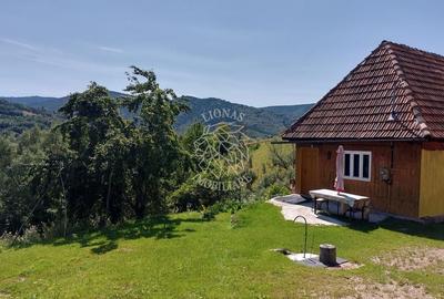 Teren intravilan zona montana investiție Rachitele Cluj 4.330 mp - 3
