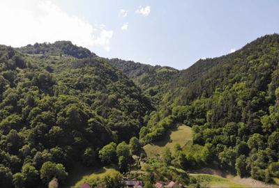 Casă cu 4 camere în Râu Sadului - 5