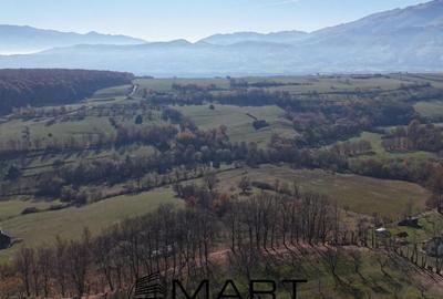 Teren de 4000 mp, în Sadu - 3