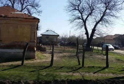 2(doua) teren intravilan in localitatea Giurgi?a, judetul Dolj. - 2