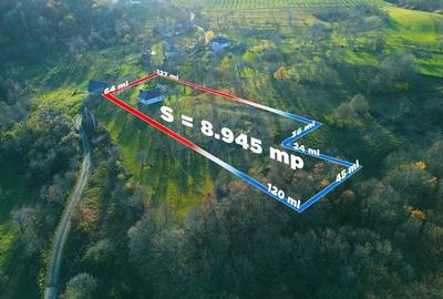 De vanzare casa traditionala renovata-teren mare si potential turistic - 2