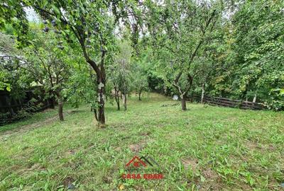 ●Casa de vacanta in Provita,langa Breaza,5 cam,3 bai,teren 2380 mp,199.000e● - 6