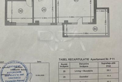 Apartament 3 camere Ilie Petre - 10