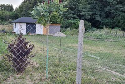 Casă cu 2 camere cu Teren 1030 Mp în Budeasa - 6