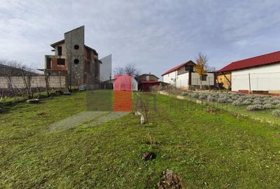 Casa curte cu teren 1600 mp Manolache - 21