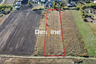 Oportunitate de investitie teren intravilan 7535 mp utilitati aproape, Cositeni - 2