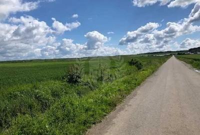 TEREN EXTRAVILAN//LIPANESTI//100.000 MP - 1