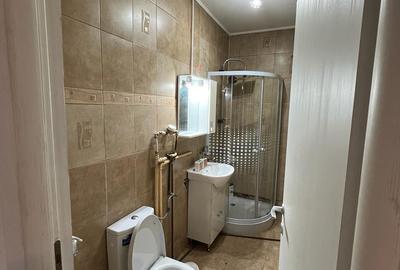 De inchiriat apartament cu o camera zona Aradului - 2