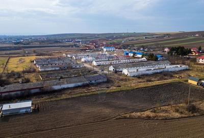 Teren  intravilan in sat Zapodia, com. Traian, jud. Bacau, 36.200mp, - 4