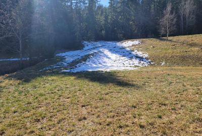 Teren de 4200 mp, în Sucevița - 3