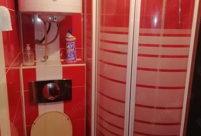 Garsoniera cu Baie si Bucatarie - 5