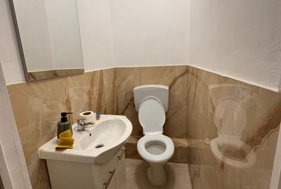 Casa P+Pod - Strada Rasaritului = Spatiu Comercial - 11