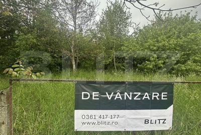 Spațiu comercial, în Viile Satu Mare - 1