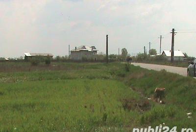 Teren de 3636 mp, în Oarja - 1