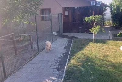 Casă cu 2 camere cu Teren 1000 Mp în Central - 6