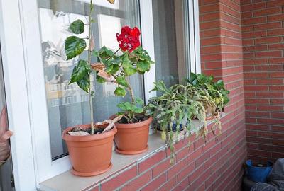 Apartament cu 3 camere decomandat în Rahova - 2