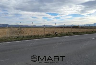 Teren intravilan Calea Feldioarei - 2