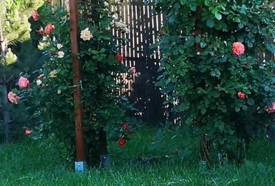 Casă individuală cu 5 camere cu Canalizare în Nord-Vest - 36