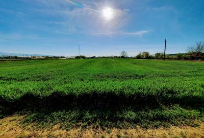 Teren agricol extravilan de 4923 mp, în Sântuhalm