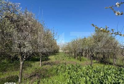 Casă cu 4 camere cu Teren 1480 Mp în Brădești - 3