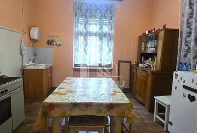 Proprietate cu potential turistic in Gurahont - 7