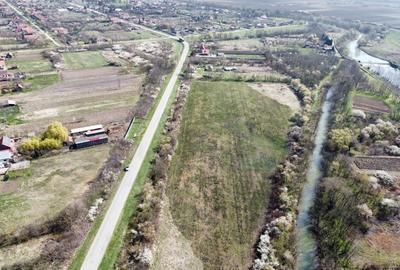 Teren agricol intravilan de 5700 mp, în Balinț