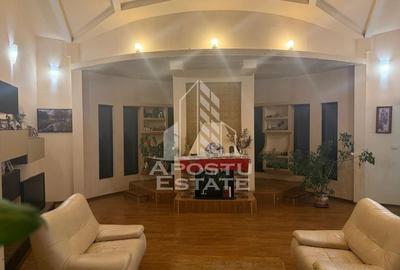 Casa spatioasa cu design american-calea Urseni - 28