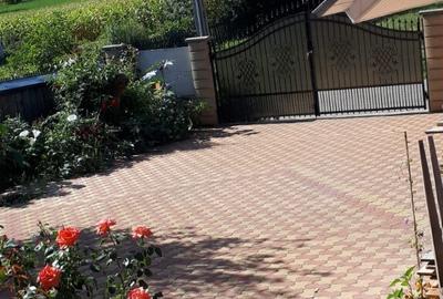 Casă cu 5 camere cu Teren 2600 Mp în Mitocu Dragomirnei - 4