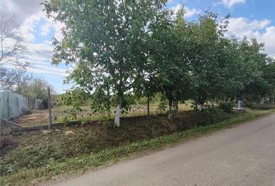 RECO teren intravilan in Saliste de Beius - 1