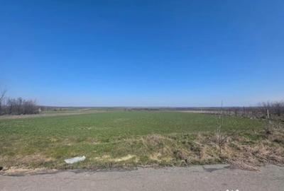 Teren de 3800 mp, în Central - 1