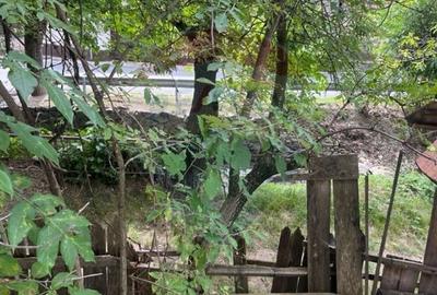 Casă de  lemn rustica, Sibiel - 6