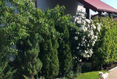 Vila - parter + mansarda - Sendreni, jud. Galati - 2