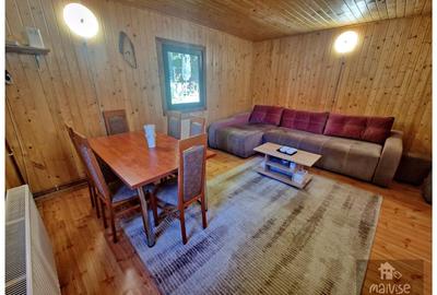 Casa de vacanta!!! Valea Bozom- Apata - 4