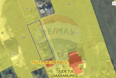 Teren Tautii-Magheraus - 5